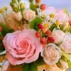 maher.alsayed8