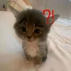 1kittyyyyyyy