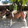 martinsvaqueiro