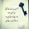 hamidmazloom