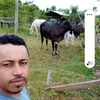 vaudeir.linhares