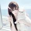 wenyanqingg