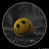 02_o23