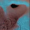 albatrossoverhead