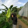 rizky_278