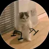 tiktokwww097