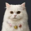 mochikucing18