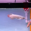 mylittlefishworld