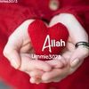 ummi3073