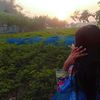 shuhashini70272