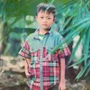 tane.208