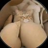 woodmiguel_44