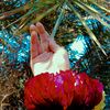 noor_ul_eman55