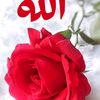 azizahmed0658