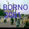 king_of_borno89