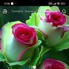 user7224431656834