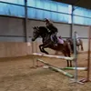 zuzu.equestriann
