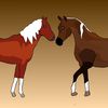 wild.horse.island626