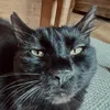 sammy_207_