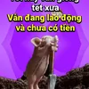 phi.hng581