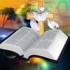 user8706920913320