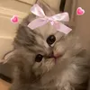 siraj.arze8