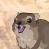 hyraxhub