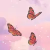 amna_12.12
