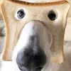 danildankaxd