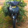 fortune_cookies48