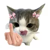 m.mjjjjjjj