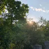 _vtm_012