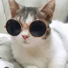 82bsgsvsg