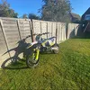 frankie_511_
