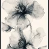 lill_0x
