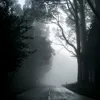 ahmad.bntahra