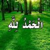 user3488142658747