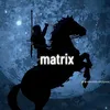 matrix199017