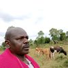 julius.tierewa