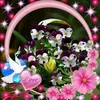 stanka.qncheva