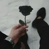user50831106160105