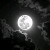 raghad_.673