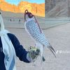 jdjd.hdhd406