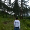 alipganteng47