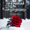 user3775455334761