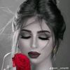 bre5320