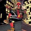 spiderman616universe