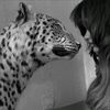 souad.alsamoui