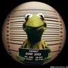 real_video.com