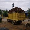 purwanto0613